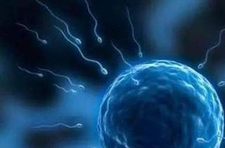 赴美试管婴儿价格贵？ 健康使命医院不存在