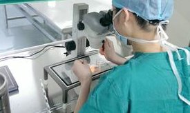 自然周期人工授精成功率多少