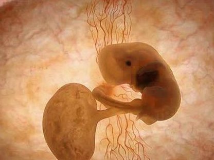 不孕不育在新泰市做试管的费用有多少？一文告诉你做三代试管建档的流程有哪些