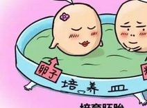 试管婴儿移植后女性胃口变好饭量增大是好兆头吗？