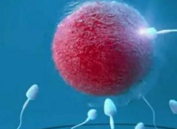 子宫内膜钙化能做试管婴儿（子宫内膜钙化点是什么意思,严重吗）