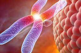 锦州市试管婴儿流程是怎样的（锦州市试管婴儿医院哪家好）